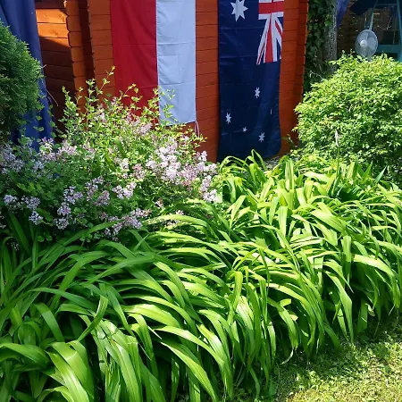 Nono Maison d'hôtes